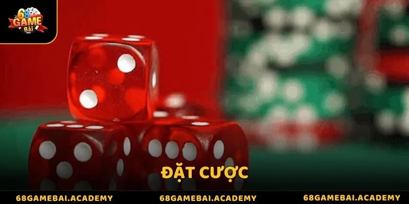 Thành viên tiến hành đặt cược để bắt đầu tham gia